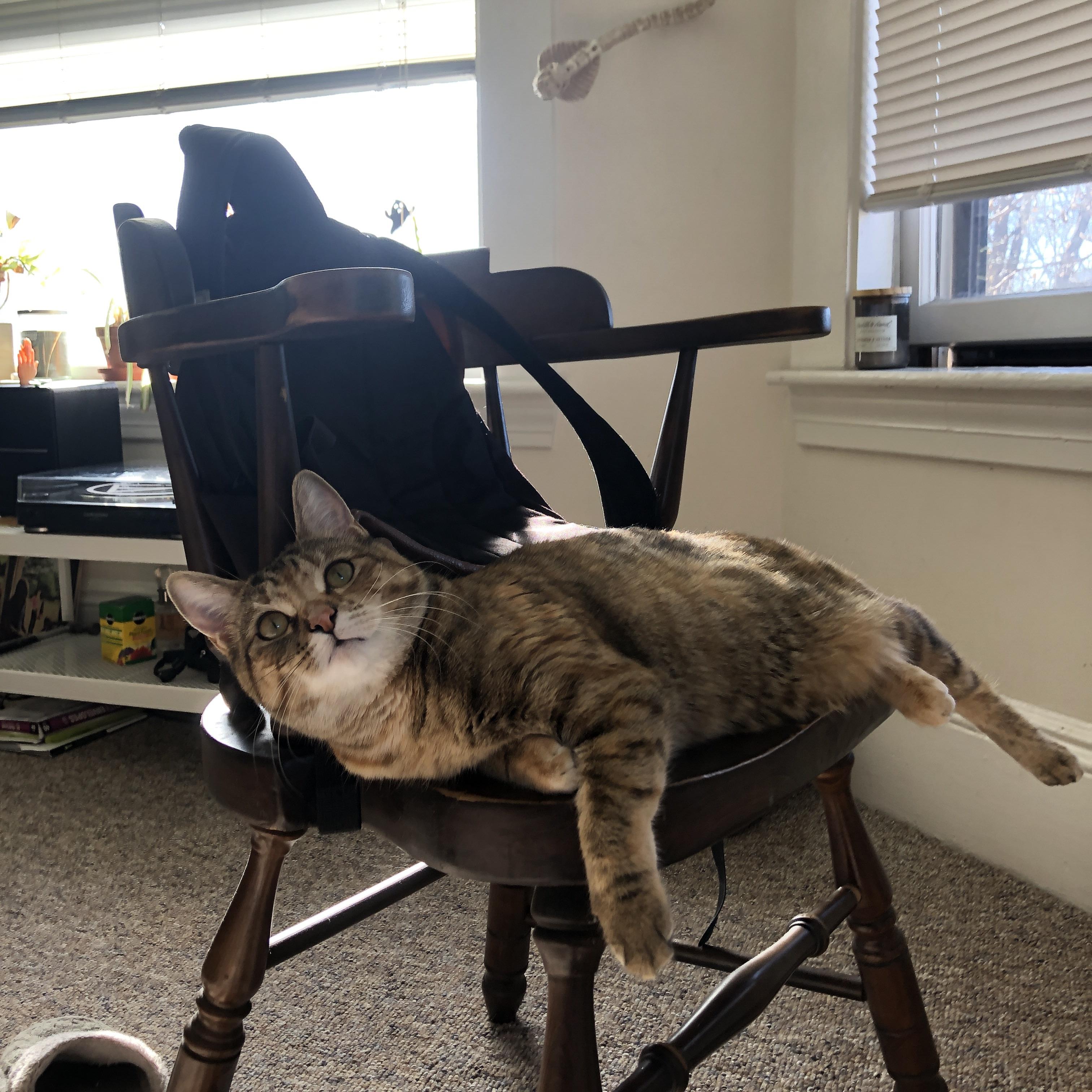 《【文化引领】电竞逐渐融入青少年的日常生活》,电竞青年群体