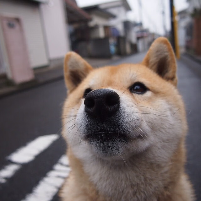 【战术艺术】马克·塞尔比:用细腻的防守策略赢得胜利,马克塞尔比厉害吗