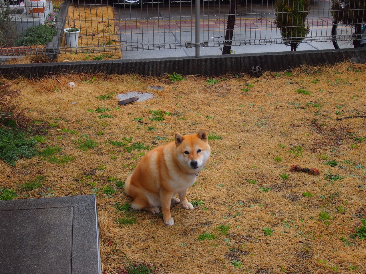 开云·体育官网-坎特加盟切尔西，坎特加盟切尔西周薪