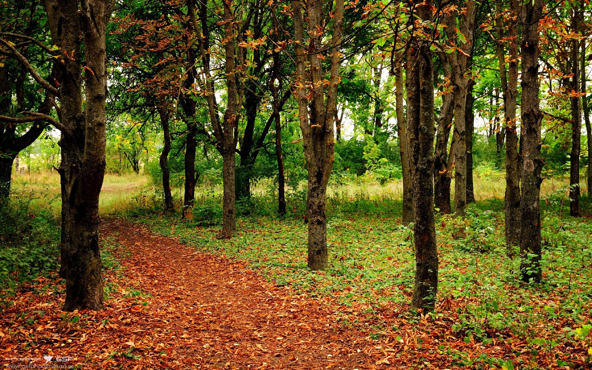 新晋教练的“秘密武器”:如何打造铁血团队,铁血教练经典台词