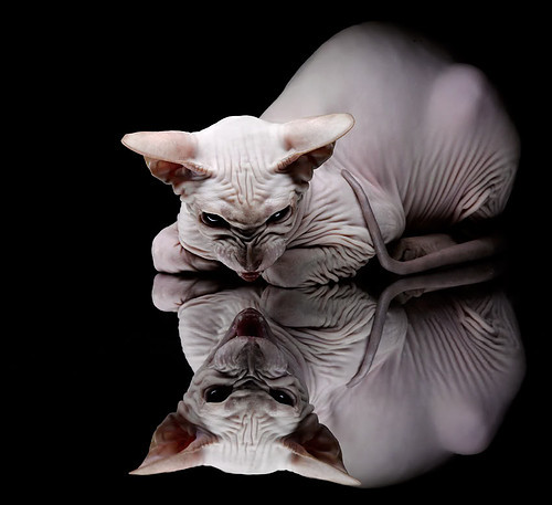 焦点人物:李明表现全面,攻防两端都做出贡献!,李明 简介