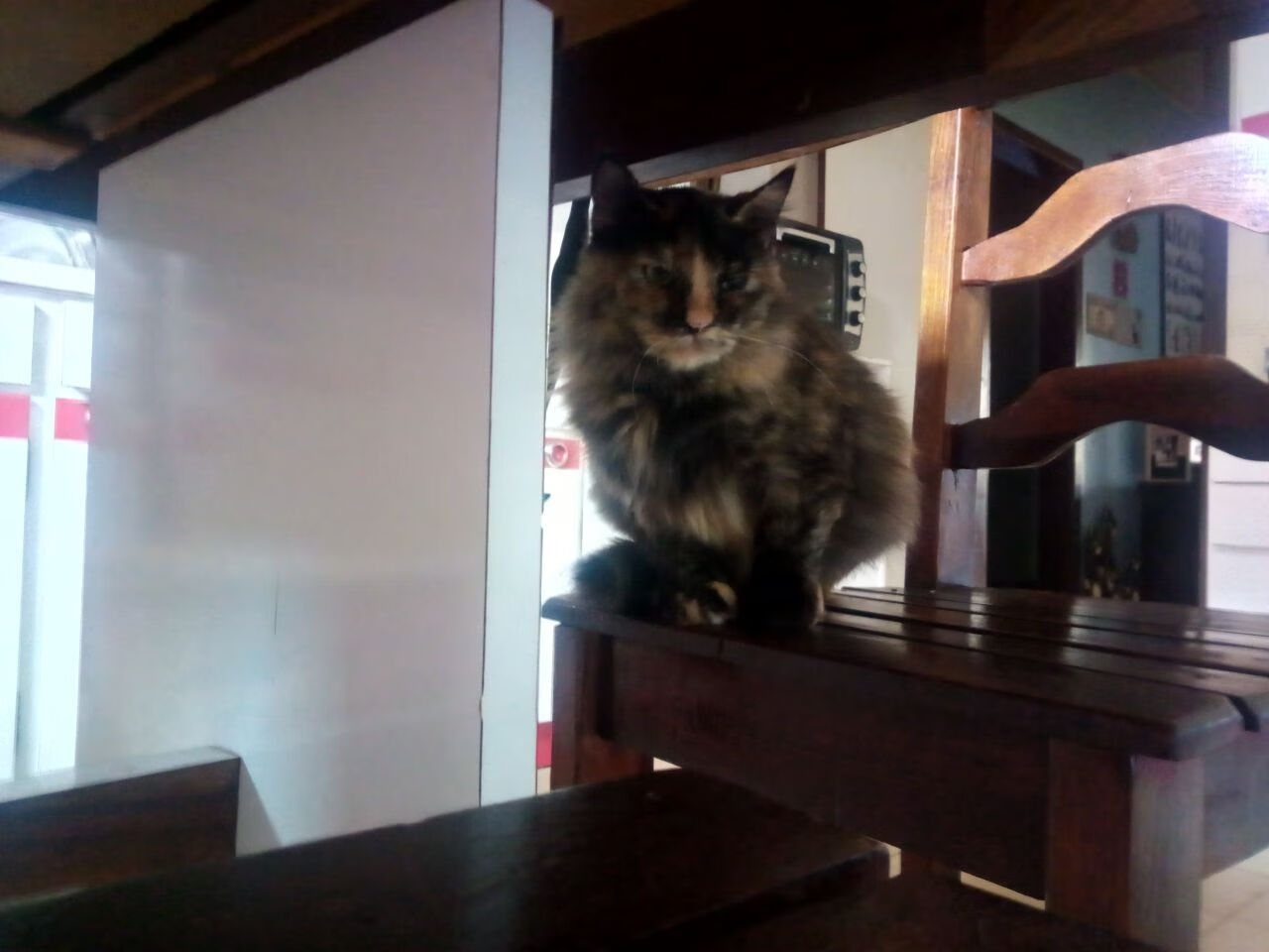 电子竞技模拟比赛,虚拟世界的真实激斗,电子竞技模拟比赛,虚拟世界的真实激斗游戏