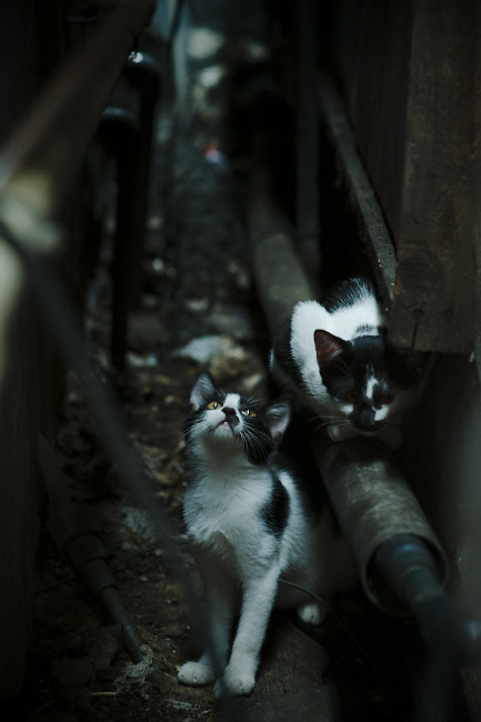 细节决定成败:比赛中的微妙战术变化,细节决定成败在此一举什么意思