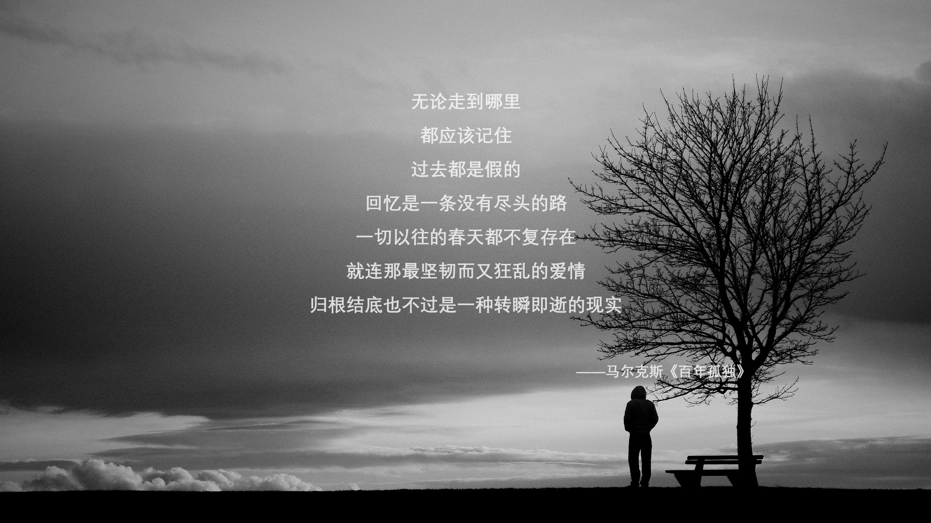 英超足球文化节盛大举行,促进球迷交流,足球俱乐部英超