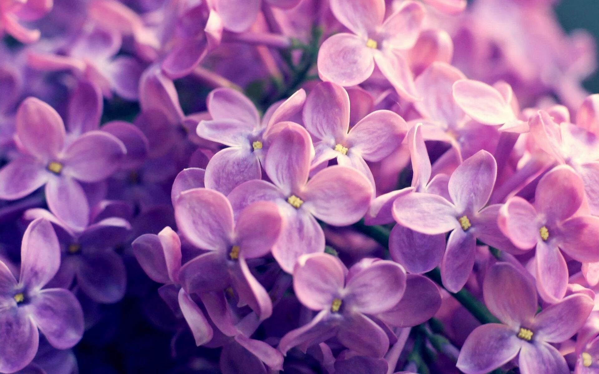 赛季“最感人的故事”:连续逆转,温暖人心的瞬间,赛场上感人瞬间