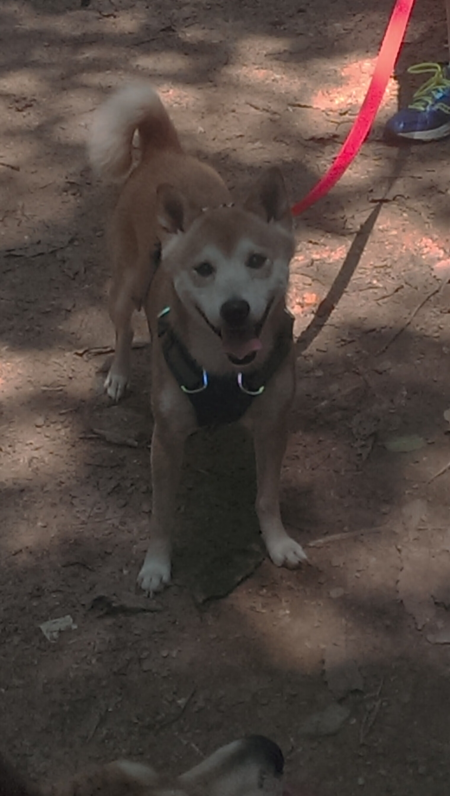 赛场“运动员特写”:那些在欧冠中闪耀的个人表现,欧冠名场面