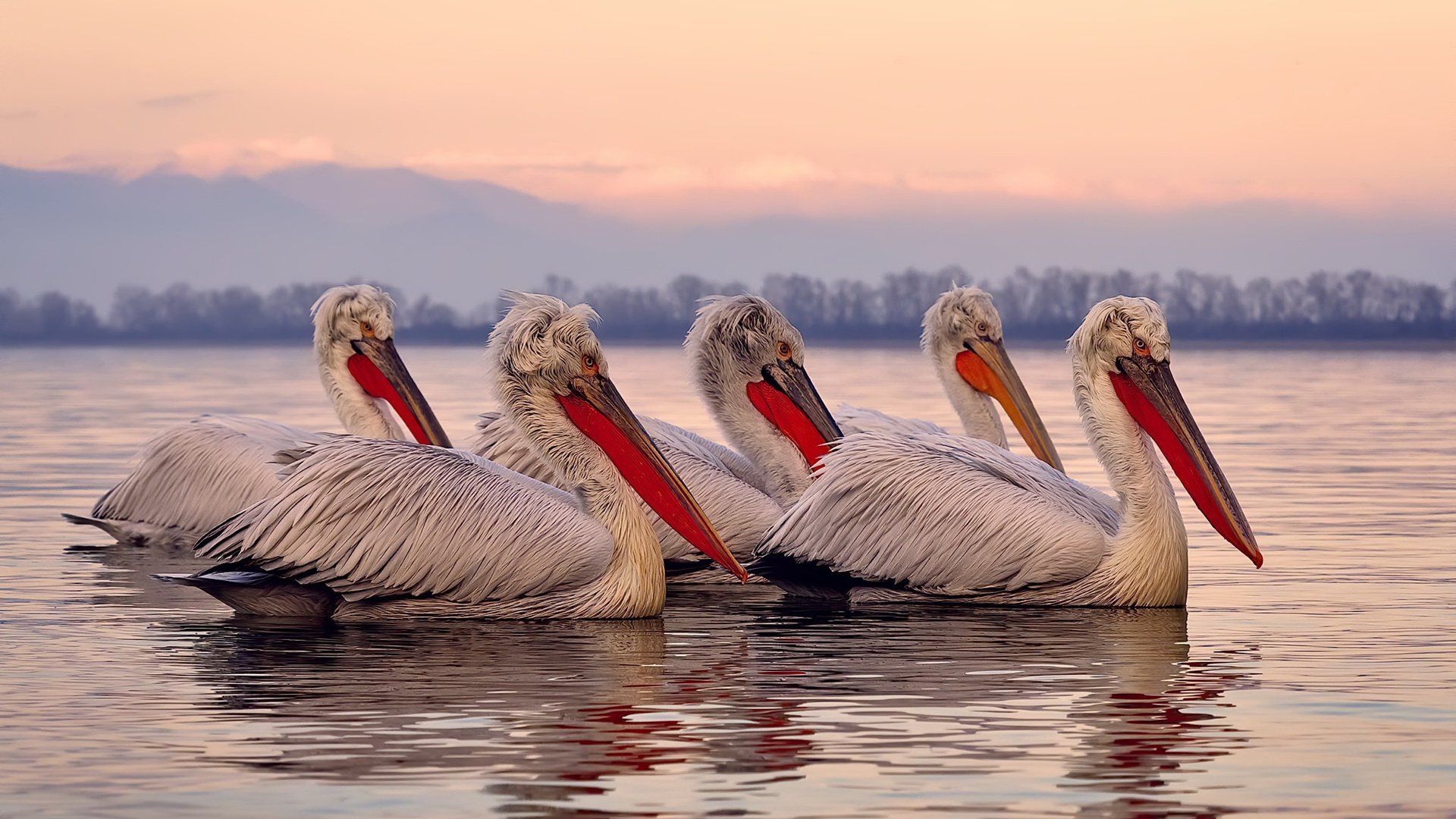 足球青训转会体系将引入积分激励机制,足球青训政策