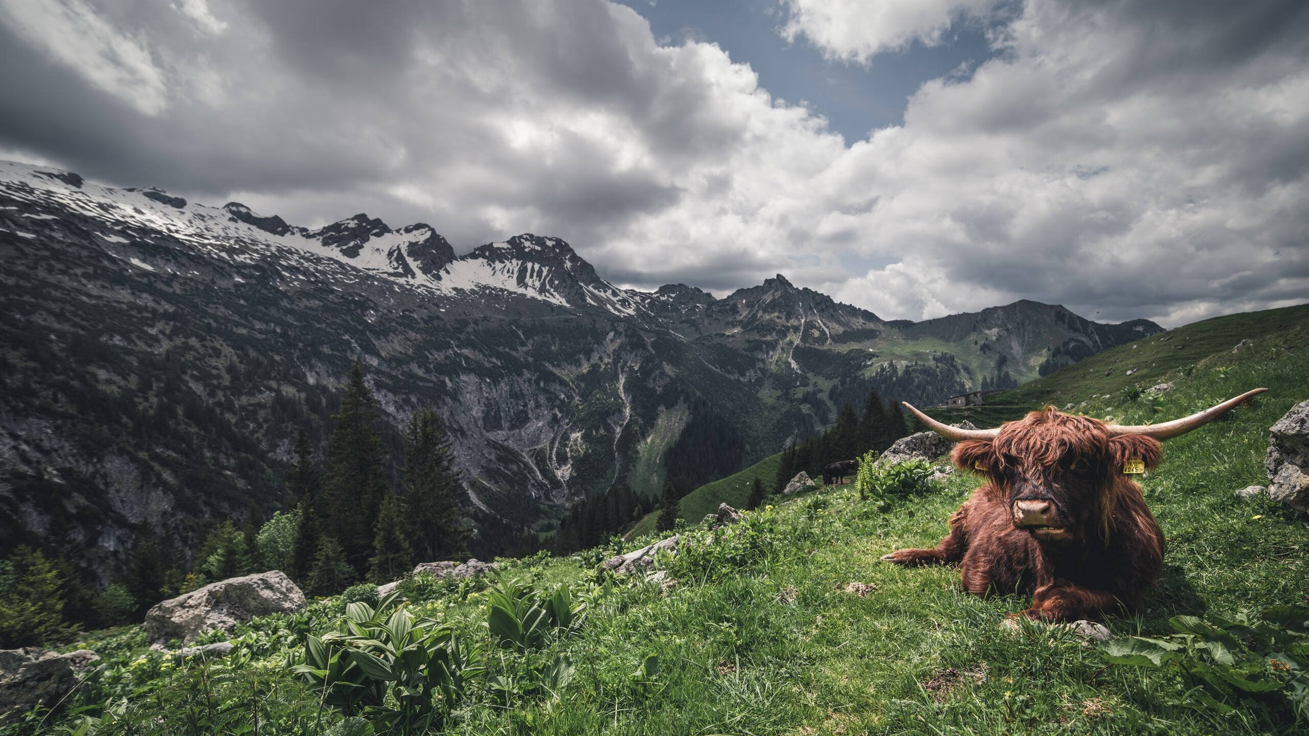东京FC蓄势待发，为争取下一轮晋级而战，日本fc东京