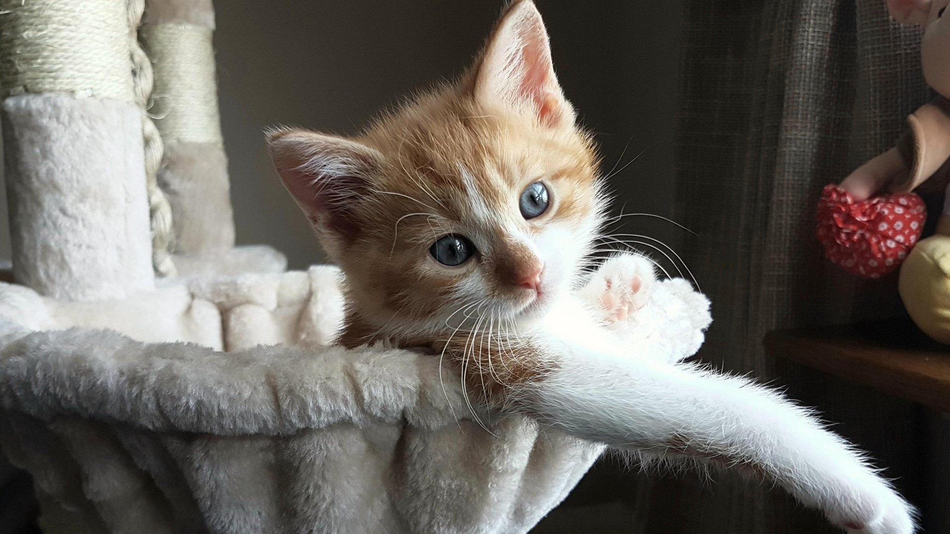 南特队在对手面前取得胜利,士气高涨,南特足球俱乐部